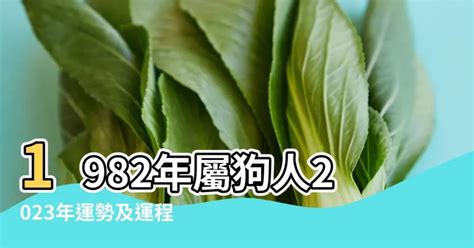 1982屬狗十年運勢|【1982生肖狗】1982生屬狗，2024限量運勢解析！讓你避兇趨吉。